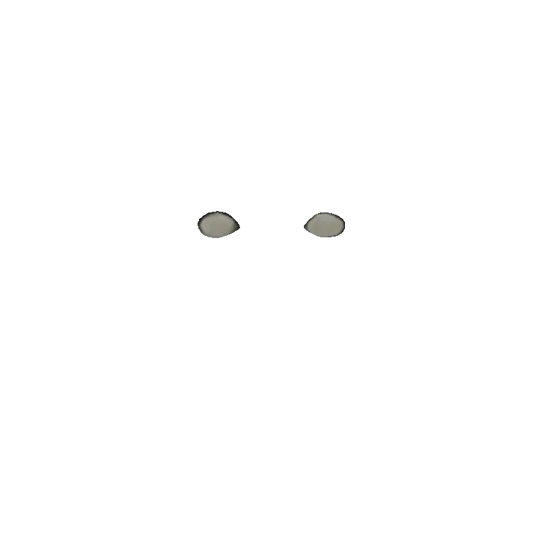 eyes
