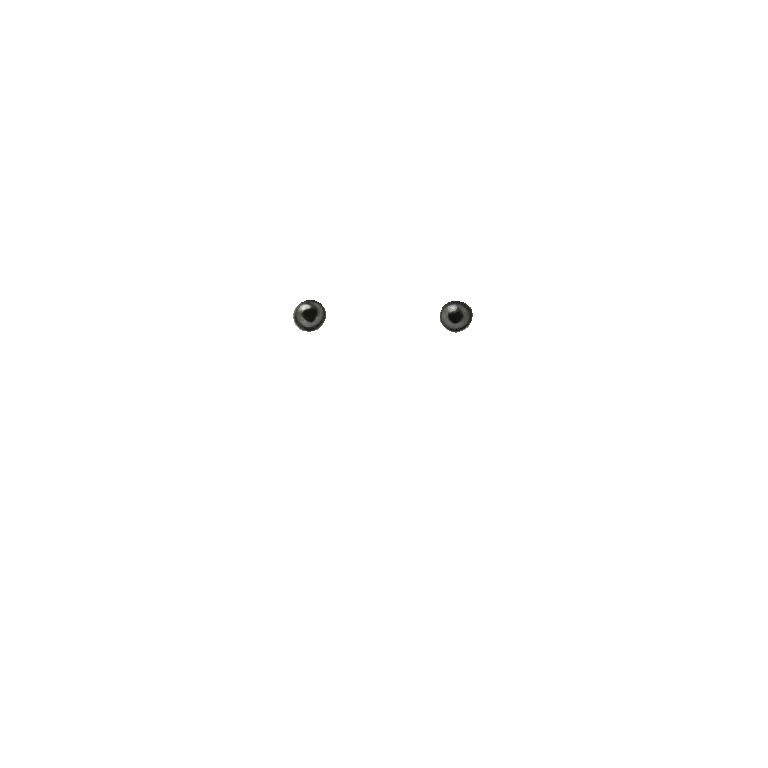 pupils